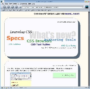 Captura feta en el Netscape 6.22 (Linux)
